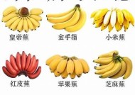 麻豆香蕉与芭蕉传媒：探索新媒体营销的无限可能