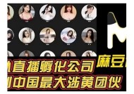 盗麻豆传媒网站内容解析与深度评测，揭示资源与使用体验