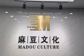 麻豆文化传媒白若冰：探索新兴影视行业的璀璨明珠