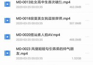 麻豆自制传媒：国产之光BT种子分享与资源下载